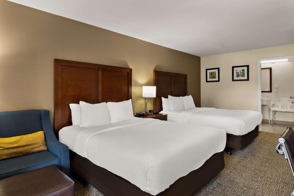 Comfort Inn & Suites Sequoia Kings Canyon Image 23