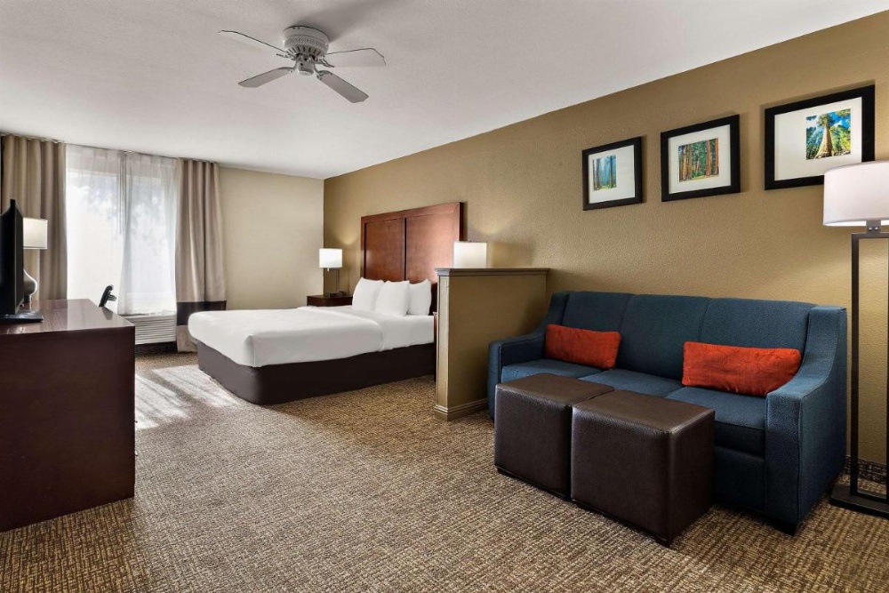 Comfort Inn & Suites Sequoia Kings Canyon Image 38